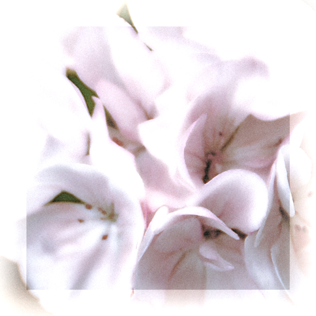 Ethereal