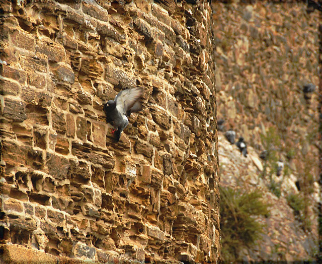 Hanging on