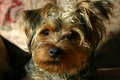 Jack1