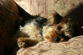 Jack2