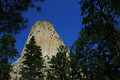 The Tower.jpg