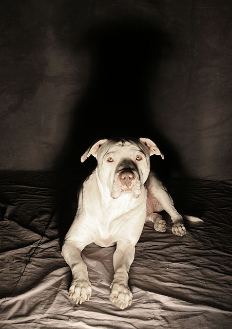 Comfort Outtake.jpg