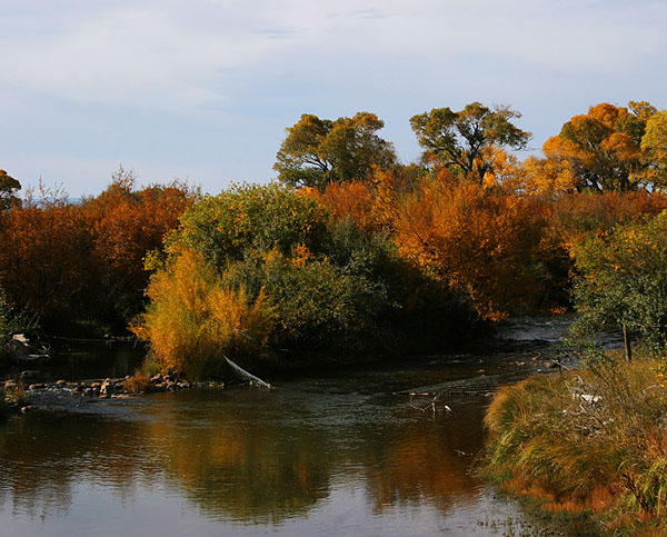 Colorful Creek.jpg