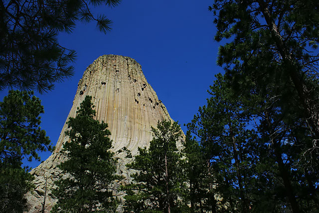 The Tower.jpg