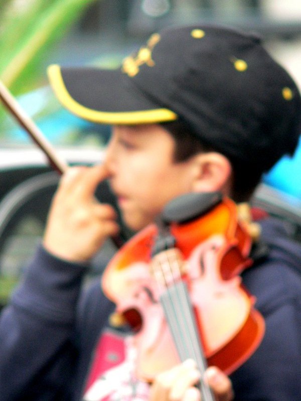 ViolinNose 1684.jpg