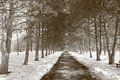 Winter Day