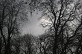 January Sky