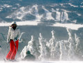 Skier