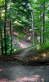 Of the Beaten Path