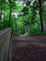 Scenic Trail