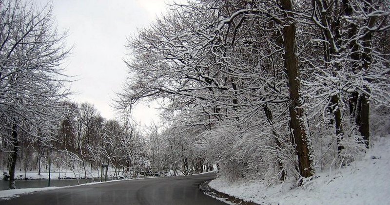 Winter Park Background.jpg