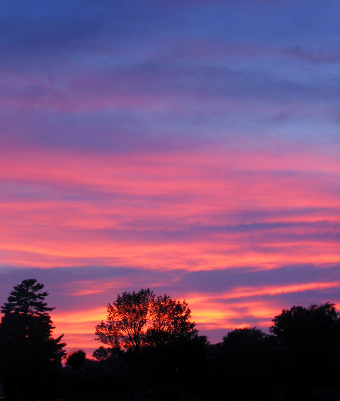 Evening Sky