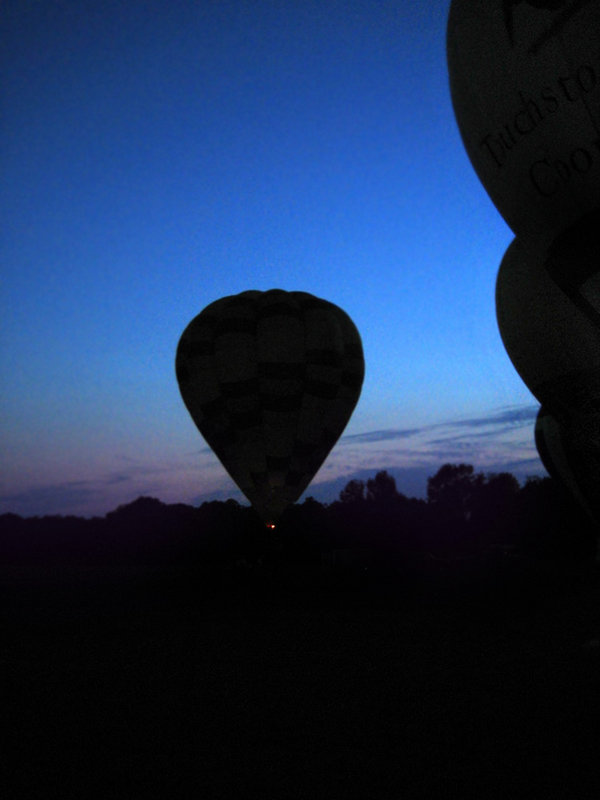 Night Flight.jpg