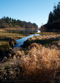 Tottiford Reservoir, Dartmoor