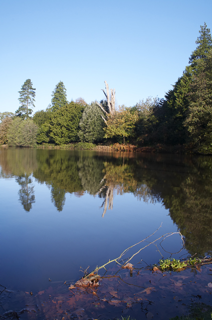 Autumn Lake