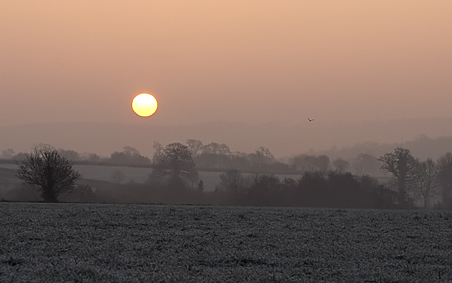 Cold and Frosty