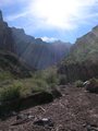 Rays in the Canyon