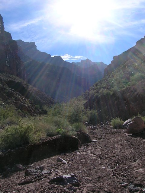 Rays in the Canyon