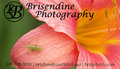 Flower-card-logo2.jpg