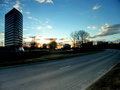 the-road-home.jpg