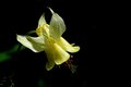 DSC_9028.jpg