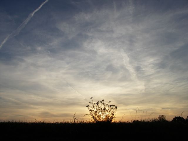 PICT8425.JPG