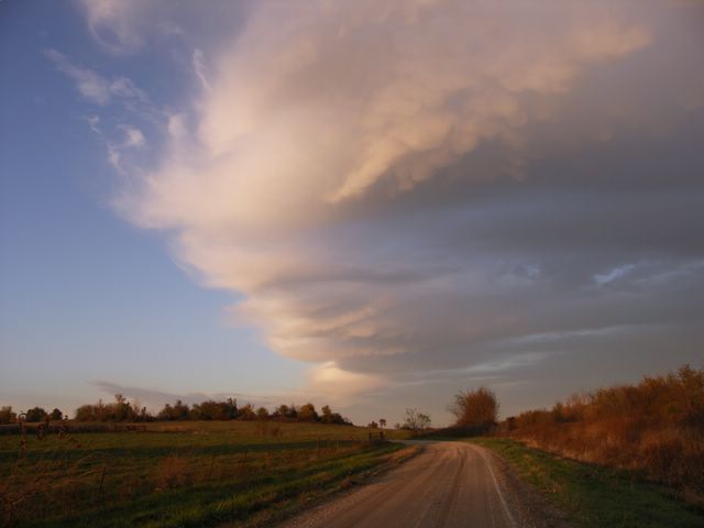 PICT8509.JPG