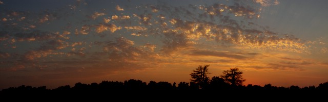 2deadtrees_panorama.JPG