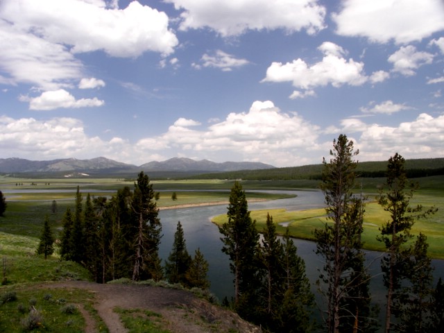 hayden_valley.JPG