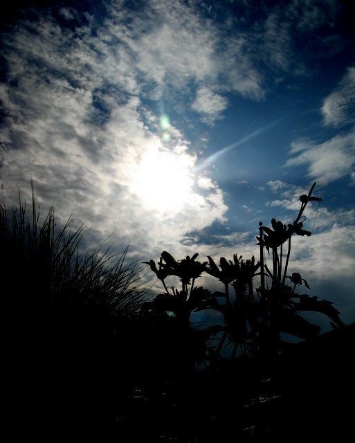 blue_skies.JPG