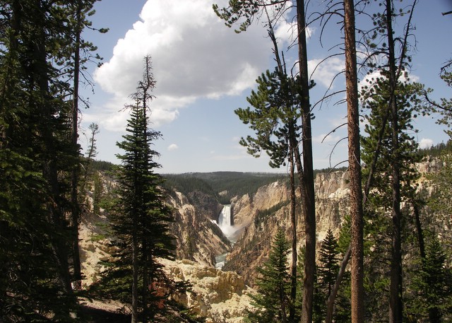 yellowstone_falls_framed.jpg