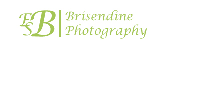 brizphoto-logo.jpg