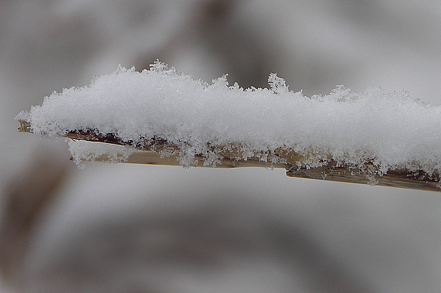 snowstick.jpg