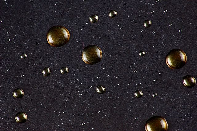 DSC_00071.jpg