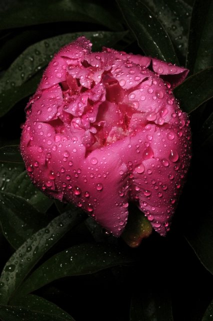 DSC_6850.JPG