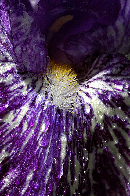 DSC_7659.JPG