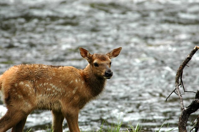 DSC_8655.jpg