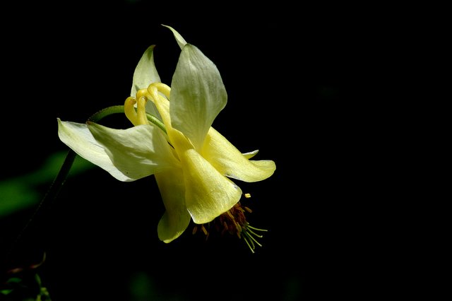DSC_9028.jpg