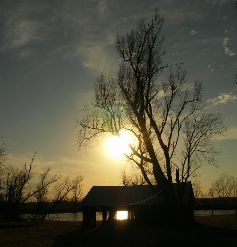 PICT4291.JPG