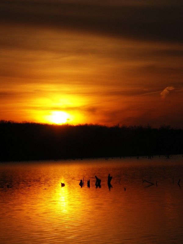 PICT4966.JPG
