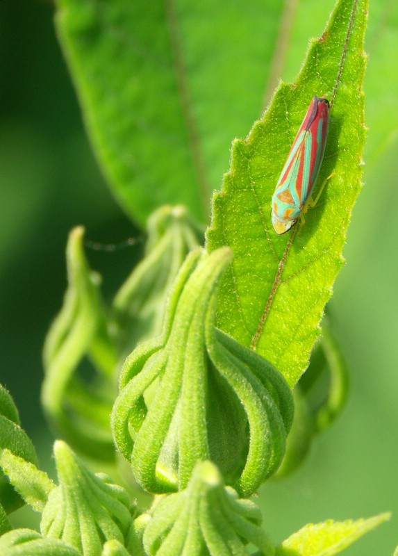 PICT0426.jpg