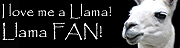 DOF-llama-FAN.jpg