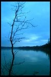 Standing Alone