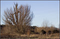 Day 3 - Bowthorpe Park