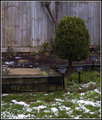 Day 8 - Garden Snow