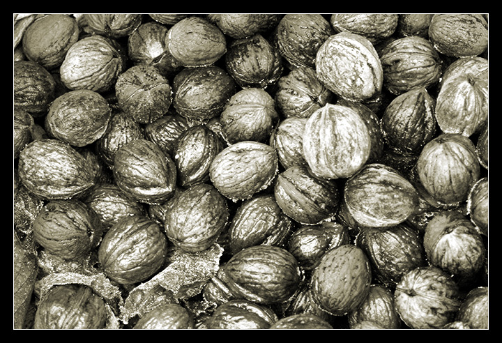 Day 7 - Just Plain Nuts