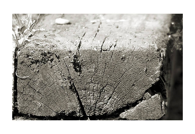 Day 26 - Railroad Tie