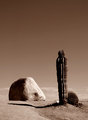 Cactus Rock In Sepia