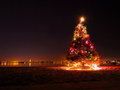 Mission_Bay_Christmas_tree.jpg