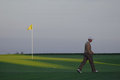 Tiger_Flag.jpg